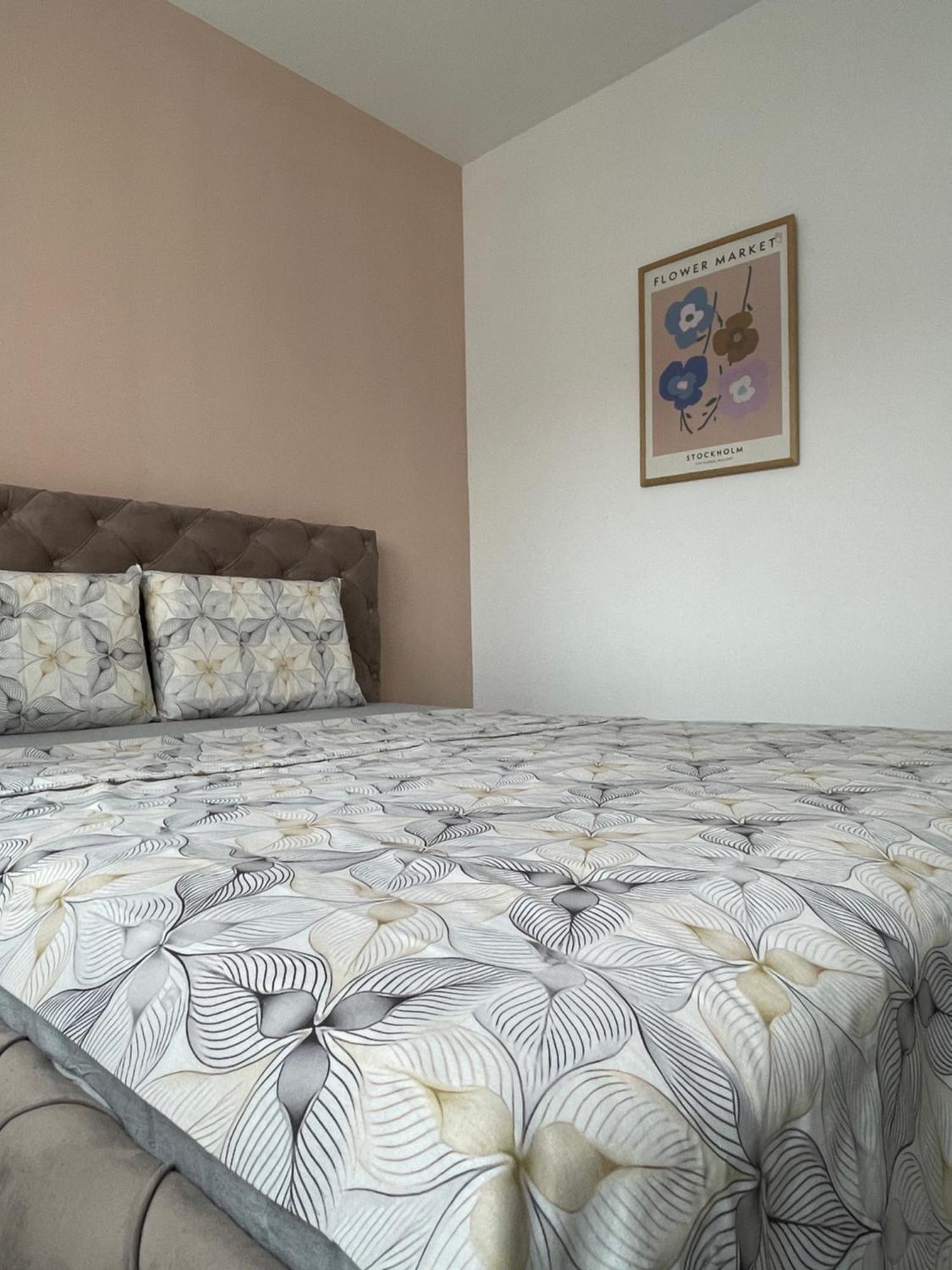 Entire Apartment - Near The Center 普里什蒂纳 外观 照片